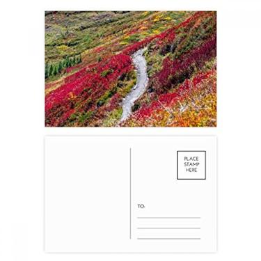 Imagem de Cartão postal colorido da ciência, cenário da natureza, conjunto de cartões postais de aniversário para enviar cartões de agradecimento