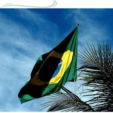 Imagem de Bandeira Brasil 3,00x2,00m Tamanho Oficial País Brasil - WCAN