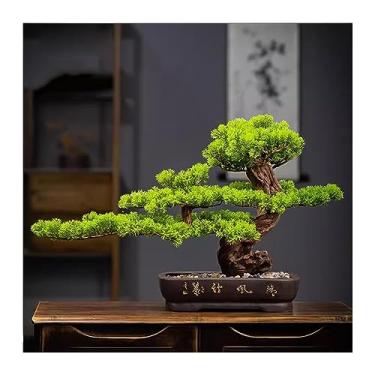 Imagem de Bonsai artificial estilo chinês bonsai artificial pinho acolhedor pinho falso decoração de sala de estar simulação de pinho acolhedor decoração de paisagem árvore de bonsai artificial