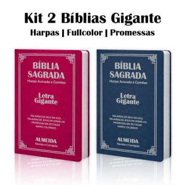 Imagem de Kit 2 Biblias Sagrada Letra Gigante Luxo Popular - Pink e Azul - Com H