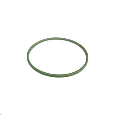 Imagem de Guarnicao Bomba Combustivel Doblo 02/07 Punto 09/.. Stilo