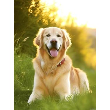 Imagem de HMDIIMGE Kits de pintura de diamante de animais faça você mesmo, um Happy Golden Retriever para adultos, kits de arte de diamante de círculo completo para cães, para decoração de quarto, decoração de