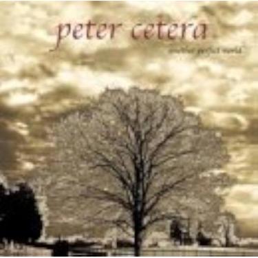 Imagem de Cd - Peter Cetera / Another Perfect World - Sum