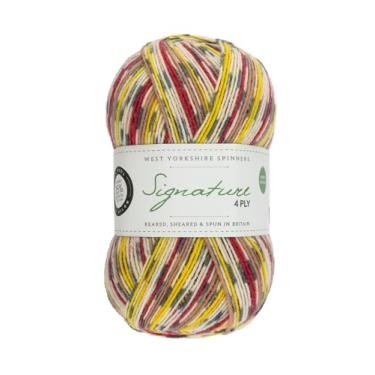 Imagem de West Yorkshire Spinners Pintassilgo 840 Signature 4 Ply