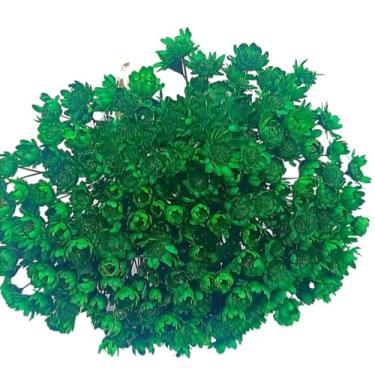 Imagem de Buquê de 300 Florzinhas, Sempre Viva e Mosquitinhos, Decorativo para Casa e Festas(Verde Escuro)