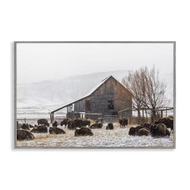 Imagem de Stupell Industries "Colorado Buffalo Snowy Farm", arte giclée emoldurada, cinza, 18 x 12