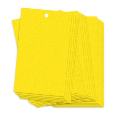 Imagem de Phefop Armadilhas Pegajosas de Dupla Face, Cola Forte de Longo Prazo, Conveniente e Durável, Controle de Pulgões, Tripes, Adequado para Jardim de chá, Pomar, Estufa, Campo Vegetal, (amarelo-20X15cm)