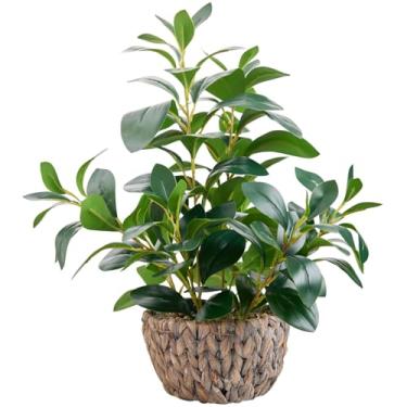 Imagem de AlphaAcc Planta artificial de ficus de 45 cm, vegetação sintética, vaso em vaso de cesta de vime com seixos decorativos, planta falsa realista para casa, sala de estar, escritório, mesa, prateleira