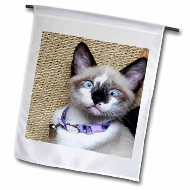 Imagem de 3dRose fl_245052_5 cm Imagem de bandeira de jardim de rosto de gato realmente engraçada e fofa, 45,72 cm x 68,56 cm