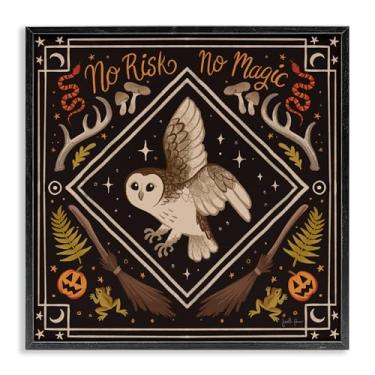 Imagem de Stupell Industries No Risks or Magic Owl Design de arte giclée emoldurado preto por Janelle Penner, 12 x 12
