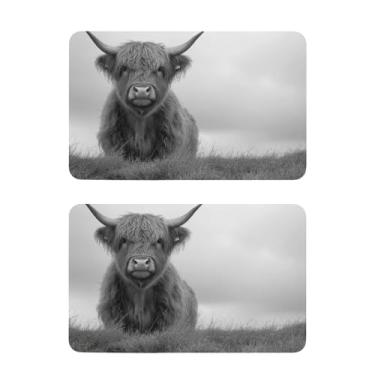 Imagem de Blueangle Conjunto de 2 ímãs de geladeira Cool Highland Cow - Ímãs decorativos engraçados de geladeira de cozinha - Seguro para lava-louças e decoração magnética durável (270)