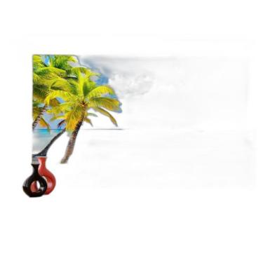 Imagem de Papel De Parede Praia Mar Coqueiros Areia Céu 3,5M Npr324 - Você Decor