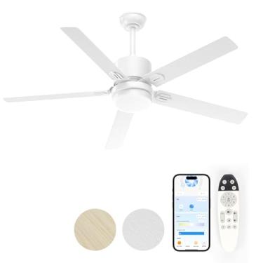 Imagem de alescu Ventiladores de teto com luzes - Ventilador de teto externo com controle remoto - Controle de aplicativo, ventilador de teto moderno de 106 cm para pátio, quarto e sala de estar