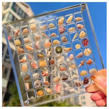 Imagem de Caixa de exibição de conchas de acrílico, caixa de armazenamento de conchas, bugigangas decorativas de estrela do mar, pequeno recipiente organizador de artesanato para contas, unhas, joias, grade