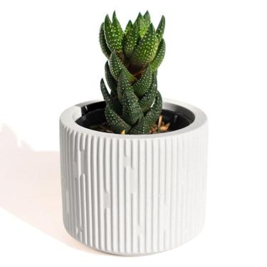 Imagem de Vaso Decorativo Contemporâneo 7cm Em Cimento Artesanal Branco