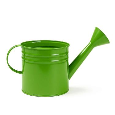 Imagem de Mini Regador Aberto Aço Galvanizado 3 Litros para Jardim e Festas - SF223