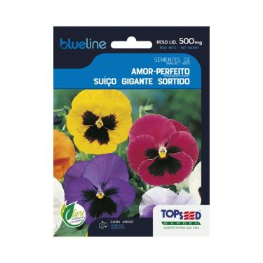 Imagem de Sementes de Amor-Perfeito Suíço Gigante Sortido, Flores Multicoloridas, 500mg, Clima Ameno