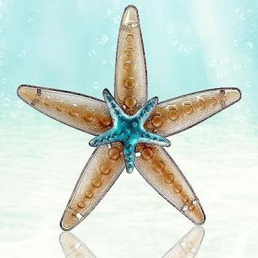 Imagem de COOZZYHOUR Decoração de arte de parede de estrela do mar e vidro, esculturas de parede com tema oceânico, decoração interna náutica para pátio, quintal, cerca, piscina, banheiro, sala de estar