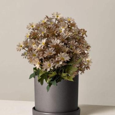 Imagem de Pacote 20 Buquês Flor do Campo Flores Artificiais Baratas Atacado Durá