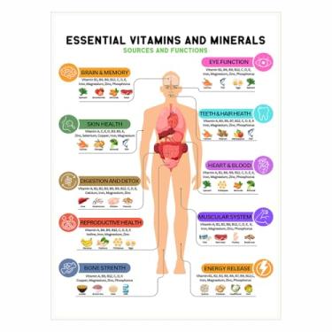 Imagem de Folha de tabela de vitaminas e minerais – Lista de alimentos de informações nutricionais, tabela de micronutrientes essenciais, pôster de proteína saudável, rastreador de refeições fitness - 28 x 35