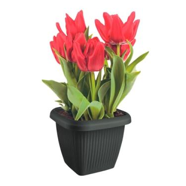 Imagem de Vaso De Plantas Design Moderno Decoração 1,7L em Polipropileno (Concreto)