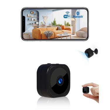 Imagem de Paulie [VHS]