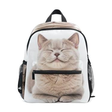 Imagem de GAIGEO Cute British Shorthair Cat Little Kids Backpack with Whistle, 2 Bottle Pockets, Lightweight, Kids Travel Backpack 10x4x12 In, for Ages 3-8