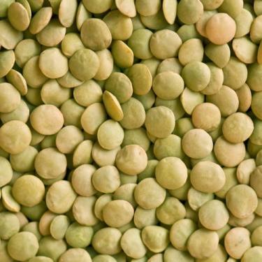 Imagem de Lentilha Verde 1kg - Mania de Castanha