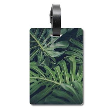 Imagem de Green Leaf Plant Picture Night Nature Suitcase Bag Tag Luggage Card Scutcheon Label