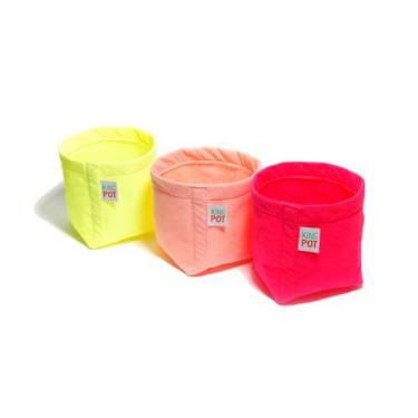Imagem de 10 Vasos De Plantas De Suculentas 4 Litros - King Pot, Mix Flúor