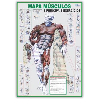 Imagem de Mapa Dobrado de Anatomia Humana Músculos E Principais Exercícios - Esc