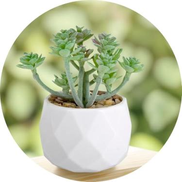 Imagem de Plantas suculentas artificiais falsas para mesa, suculentas falsas realistas em vasos de plástico, mini decoração de suculentas coloridas para quarto, banheiro, escritório, prateleira (verde C)