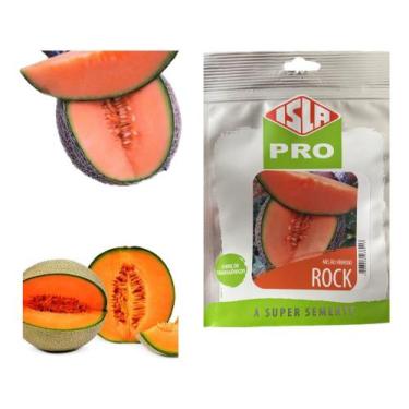 Imagem de Sementes de Melão Hibrido Rock Tipo Cantaloupe Cartela C/ 50 Sementes 
