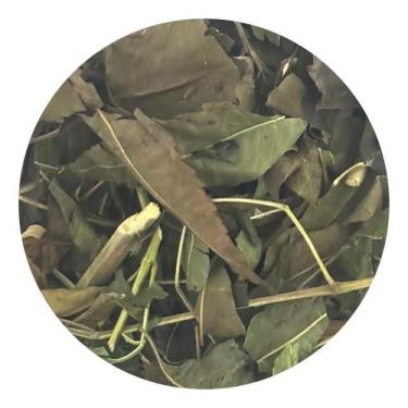 Imagem de Erva Santa Bárbara 100g (Erva Desidratada) - Life Magazine