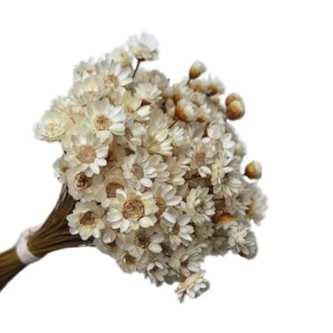 Imagem de 300 Flores Secas Sempre Viva Branca – Flores Artificiais Decorativas para Arranjos e Mesa de Jantar