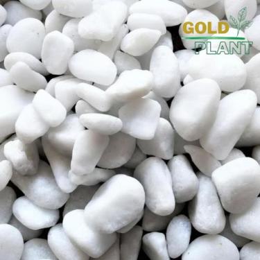 Imagem de Pedra Ornamental decoração vasos jardins dolomita seixo Branca 15 kilo