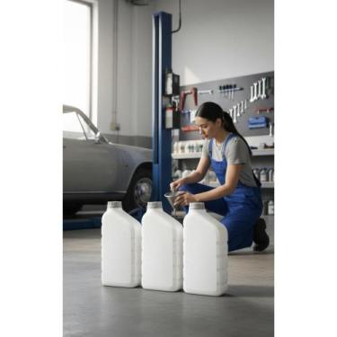 Imagem de 4L Óleo 10W30 Mineral Motor Flex  Proteção Total - Congratulations Sto