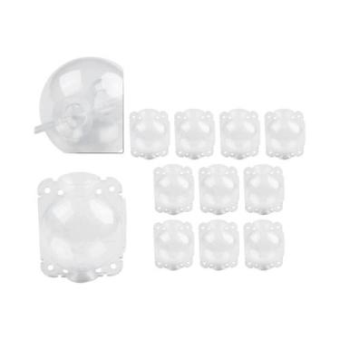 Imagem de Conjunto De Caixas Para Crescimento De Raízes De Plantas De 5cm E 8cm,