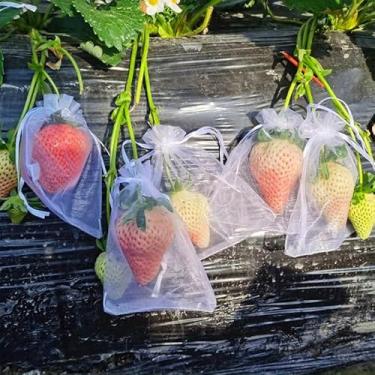 Imagem de 100 unidades de sacos de organza para presente de morango e vegetais - sacos de proteção de frutas com cordão, bolsa de barreira de rede de plantas de jardim para tomates, uvas, mangas