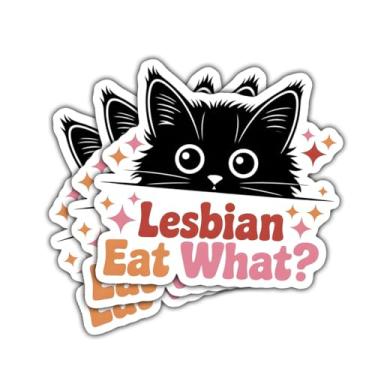 Imagem de Adesivo de orgulho de gato lésbico com 3 peças, decalque de vinil engraçado LGBTQ+ arco-íris para meninas, adolescentes, adultos, laptop, garrafa de água, carro, álbum de recortes, caderno, diário