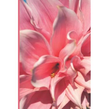 Imagem de Notebook: Stunning Ladybug Journal Wide Ruled Notebook | 120 Pages 6 x 9 Size