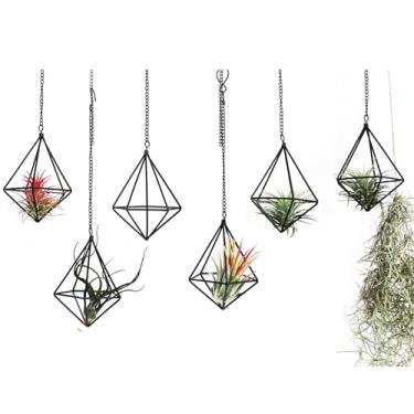 Imagem de ZOOELAY Suportes Suspensos Para Plantas Aéreas, Suporte De Metal Pequeno Aéreas Internas, Geométrico Himmeli, Exibição Samambaias Tillandsia Com Correntes, 6 Peças Em Formato Diamante Preto…