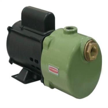 Imagem de Motobomba autoaspirante schneider asp-98 1/2cv monofásica 220v com cap