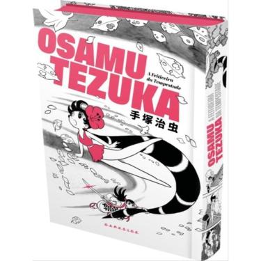 Imagem de A Feiticeira Da Tempestade