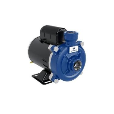 Imagem de Bomba Scharpia Monoestágio GOL001 0,5cv Monofásico 220v