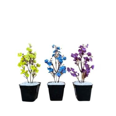 Imagem de Decoração Sala, kit três vasinhos mini arranjo de orquídeas permanentes efeito real decoração(TRIO MODELO 13)