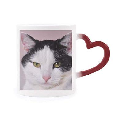 Imagem de Caneca de gato Animal Pet Tuxedo Billicat sensível ao calor Caneca vermelha que muda de cor