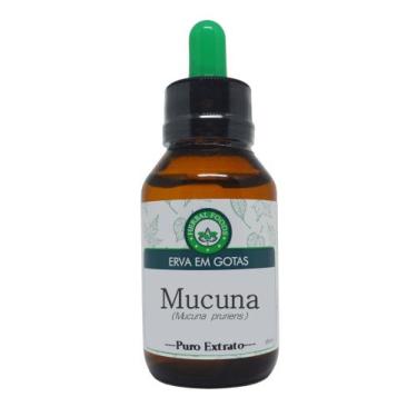 Imagem de Mucuna - Extrato 60ml (Tintura Mãe) - Herbal Foods