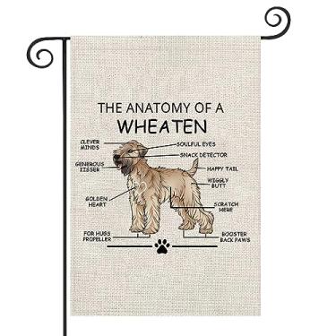 Imagem de Wheaten Terrier Lovers Gift The Anatomy of A Wheaten Clever Minds Garden Flag Wheaten Veterinary Mom Yard Flag (Wheaten)