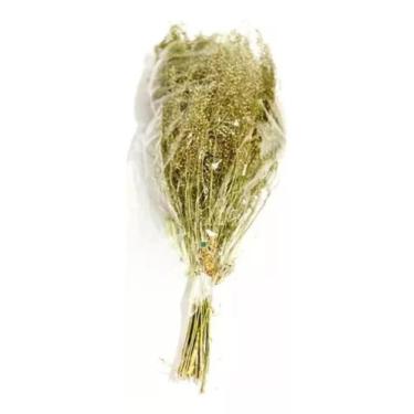 Imagem de Buquê De Sementinha Desidratadas Secas Casamento Arranjo Lar - FLORA F